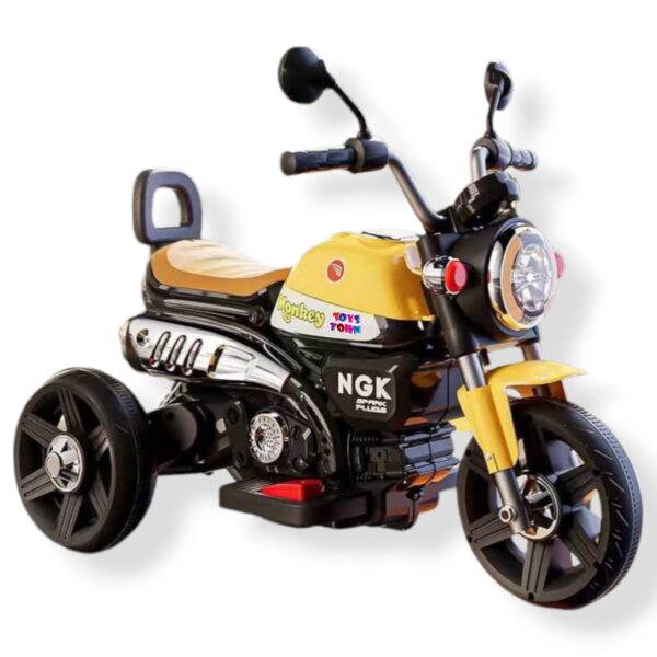 R1 Model Kids Bike